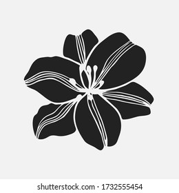 Vector de flores de Lily. Ilustración dibujada a mano sobre fondo blanco. Elemento aislado para el diseño de patrones, cosméticos, borde, tarjeta de saludo, volante, afiche, invitaciones de boda. Tatuaje también.