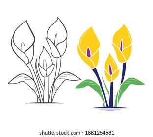 Lily Flower Vector Illustration- Lily Vector