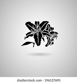 Lily flower. Vector illustration.