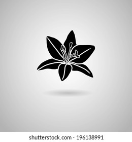 Lily flower. Vector illustration.