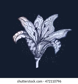 Lily flower vector. Lily flower vector illustration