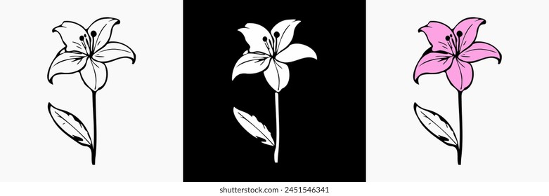 Lily Flower vector on white isolated background. beautiful botanical illustration. Decorative floral silhouette.