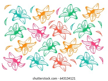 Lily flower wallpaper