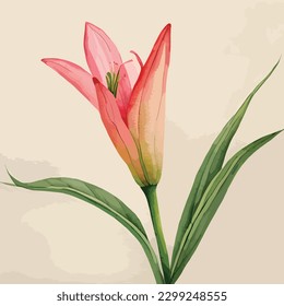 Lily Flower Watercolor Vector Art, Realstic Looking Leaf, Floral Wall Decoration