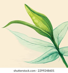 Lily Flower Watercolor Vector Art, Realstic Looking Leaf, Floral Wall Decoration