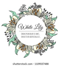 lily flower white hand drawn card vintage