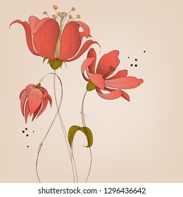 Lily flowers background