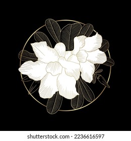 Lily flowers bloom in gold and white