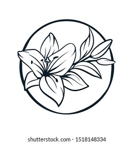 
Lily flowers. Blooming lily. Card or floral background with blooming lilies. Silhouette of a lily flowers on a white background. Vector illustration. - Vector graphic.