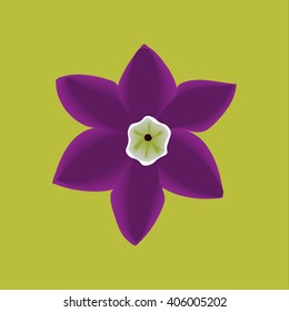 Lily flowers. Blooming lily. Silhouette of lily flowers  isolated on violet  background. Vector illustration.