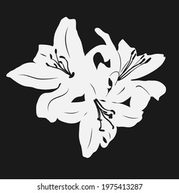 Lily flowers bouquet. White silhouette on a black background. Cutting  Stamping Product