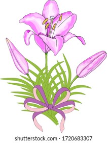 Lily flowers for celebration holiday. Vector hand draw  Illustration EPS10