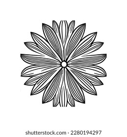 Lily flowers coloring books Make Line art, hand-drawn illustrations.Perfect for creating coloring pages, coloring books, enchanting holiday invitations, and other creative projects.