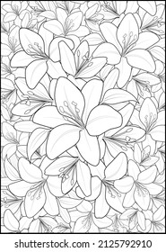 lily flowers coloring page and book