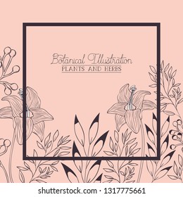 lily flowers decorative square frame