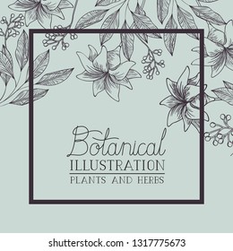 lily flowers decorative square frame