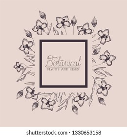 lily flowers decorative square frame