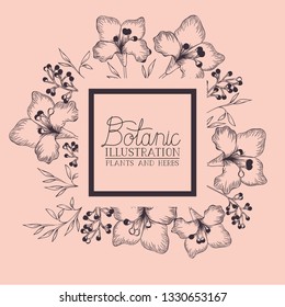 lily flowers decorative square frame