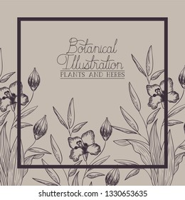 lily flowers decorative square frame