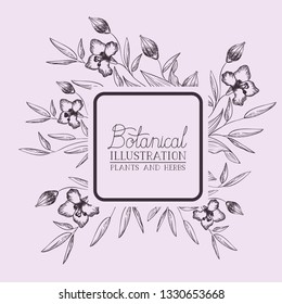 lily flowers decorative square frame