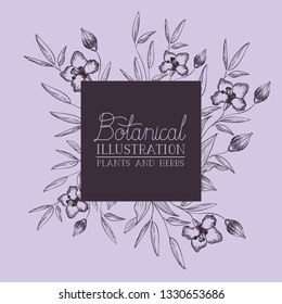 lily flowers decorative square frame