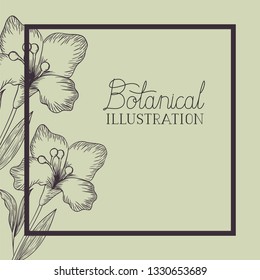 lily flowers decorative square frame