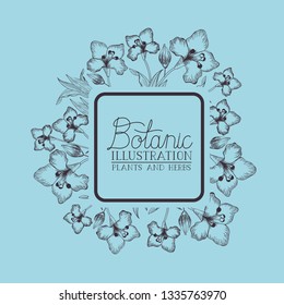 lily flowers decorative square frame
