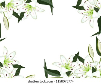 Lily flowers frame