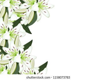 Lily flowers frame