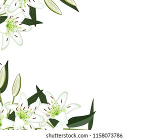 Lily Flowers Frame Stock Vector (Royalty Free) 1158073786 | Shutterstock