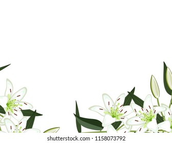 Lily Flowers Frame Stock Vector (royalty Free) 1158073792 