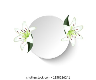Lily flowers frame