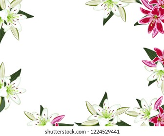 Lily flowers frame