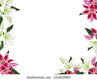 Lily flowers frame