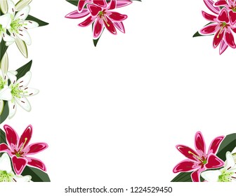 Lily flowers frame