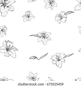 Lily flowers hand drawn in contour. Seamless pattern. Vector