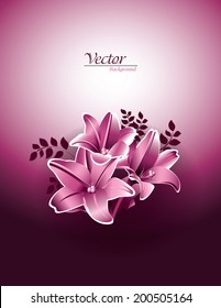 Lily Flowers Illustration. Vector Background.