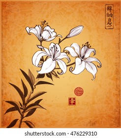 Lily flowers on vintage background. Traditional oriental ink painting sumi-e, u-sin, go-hua. Contains hieroglyphs - peace, tranquility, clarity