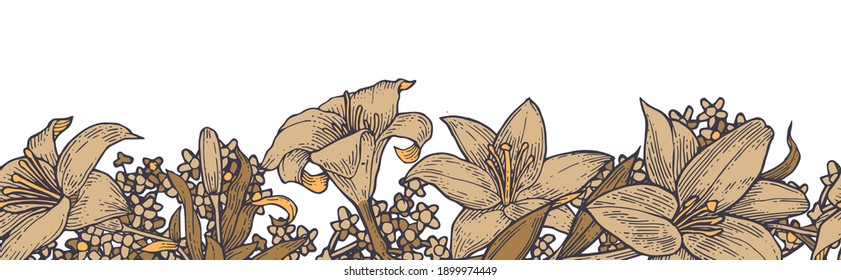Lily flowers. Seamless frame. Background illustration. Hand drawing outline. Flowering of garden plants. Abstract plant picture. Vector