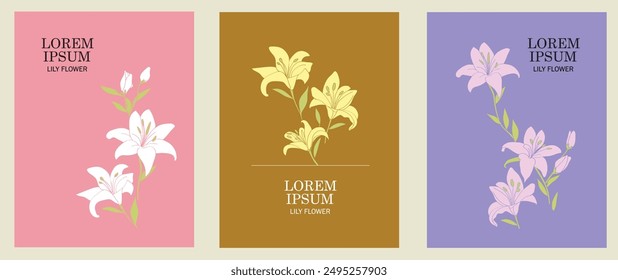 Lily flowers. Set of 3 vector cards for use in designing greeting cards, posters, print media. and designing for social media