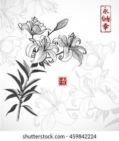 Lily flowers. Traditional oriental ink painting sumi-e, u-sin, go-hua. Contains hieroglyphs - peace, tranquility, clarity