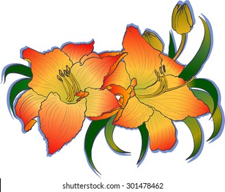 lily garden vector