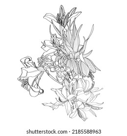 Lily, gladiolus, tulips and leaves. Card element with floral illustration. Bouquet of flowers with exotic Leaf isolated on white background. 