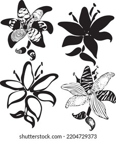 Lily, imagen vectorial gráfica de una flor, flor negra