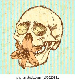 Lily and human skull, vector sketch background