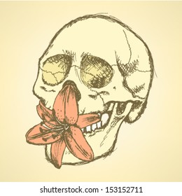 Lily and human skull, vector sketch background