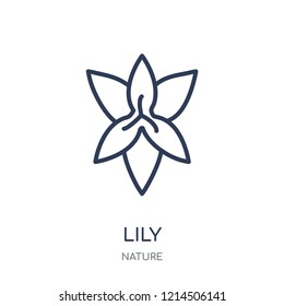 Lily icon. Lily linear symbol design from Nature collection. Simple outline element vector illustration on white background.