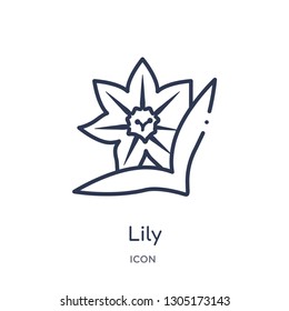 lily icon from nature outline collection. Thin line lily icon isolated on white background.