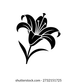 Lily icon on White Background Vector Art Illustration on white background.	