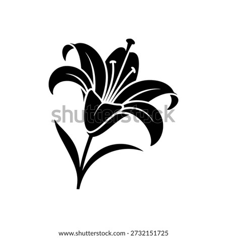 Lily icon on White Background Vector Art Illustration on white background.	